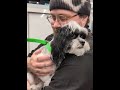 My new video