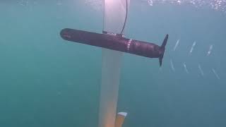 Skeeta Stoke - Revolutionising The Way We Foil