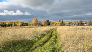 картинка: день в деревне 