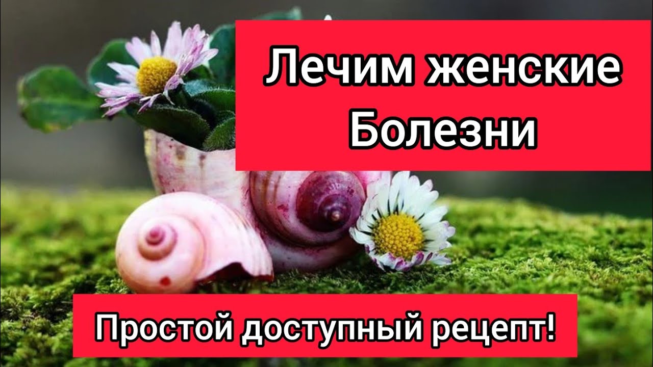 Л Е Ч Е Б Н Ы Й Т А М П О Н от всяких Ж Е Н С К И Х неприятностей