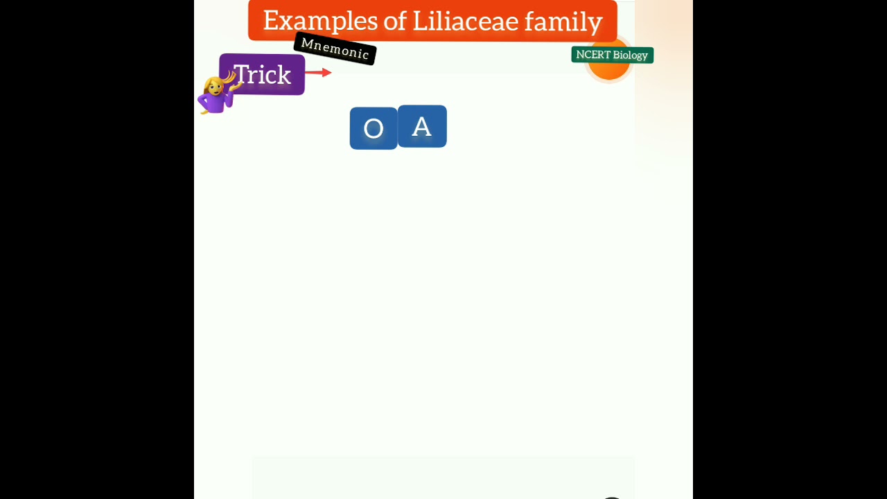 e.g. of Liliaceae family 