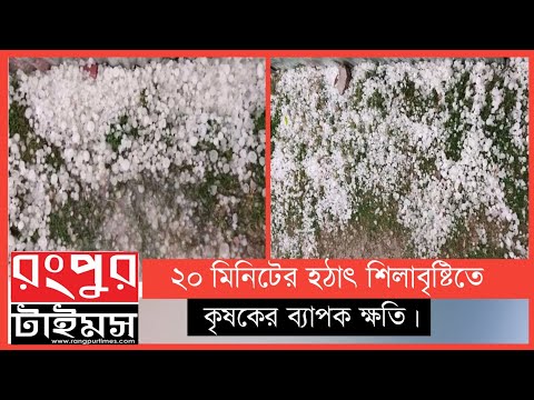 ভিডিও: ভিনাইল মোড়ানো কি শিলাবৃষ্টির ক্ষতি করবে?