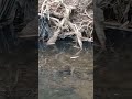More and more mess