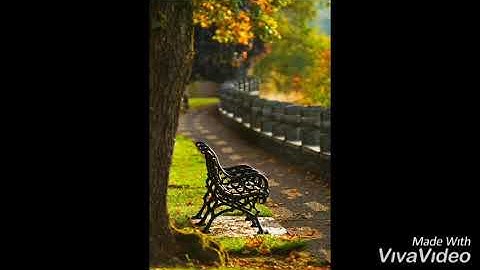 عبد الرحمن مسعد | من سورة النحل | ٤ دقائق راحه نفسيه تلاوة لا توصف من سورة النحل ...