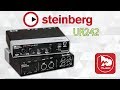 STEINBERG UR242 Звуковая карта с DSP процессором