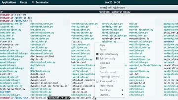 Cracking PDF files using John The Ripper