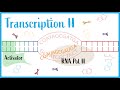 Transcription II: Post Transcriptional Modifications, RNA splicing, & mRNA Structure