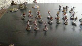 TheDarkEldarGuy's Army