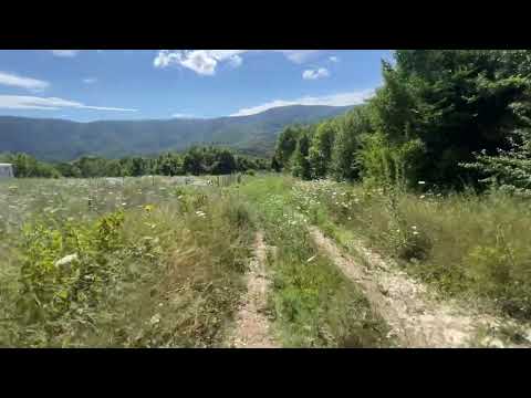 Земля у моря город Геленджик Село Адербиевка участок +7 952 866-22-35 ( 100 000 рублей)