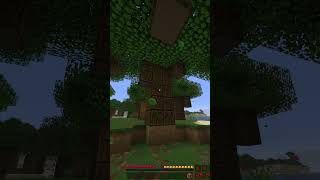 ⏳ 1 Minute pro Tag bis ich den Enderdrache besiege