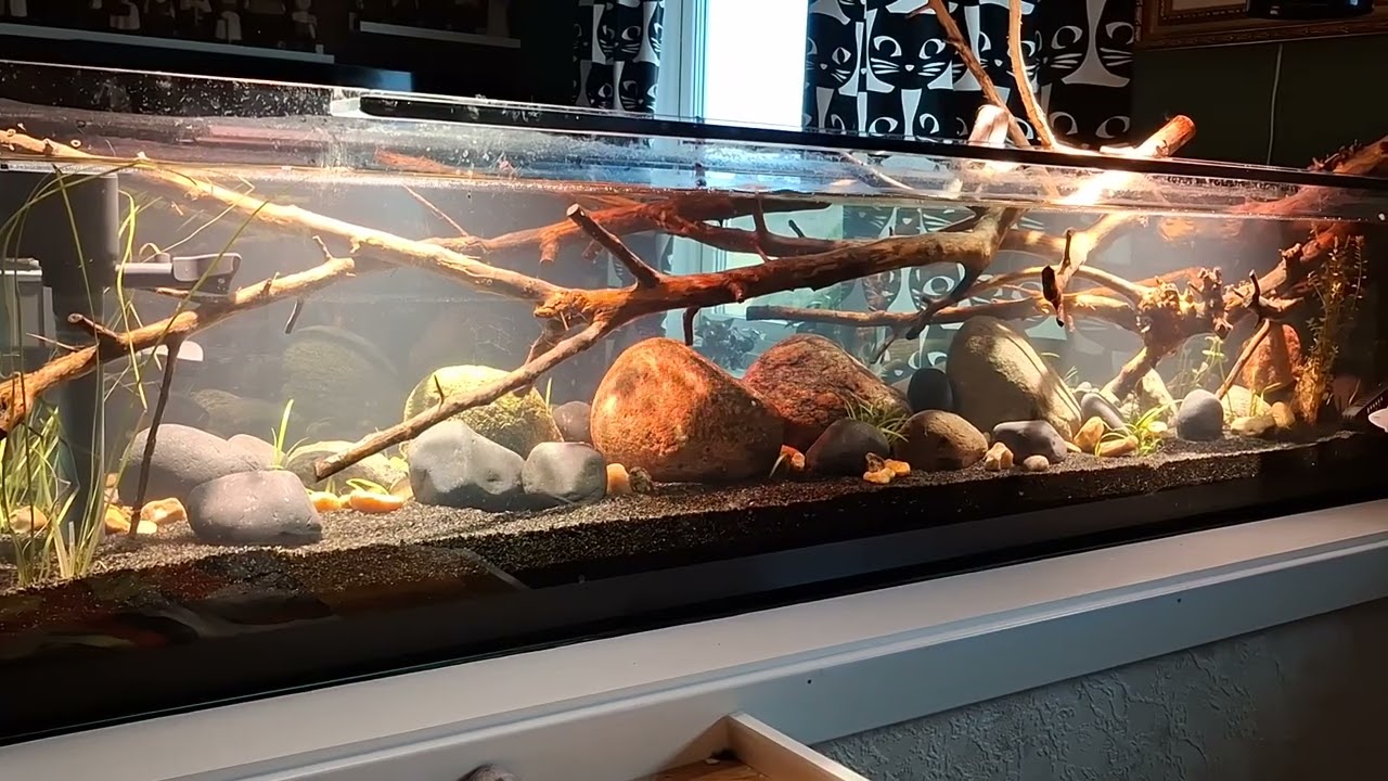 Rivertank 175 x 45 x 35 cm