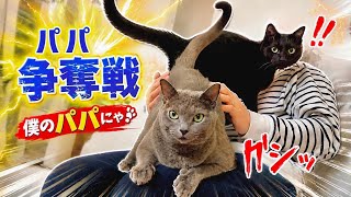 大好きなパパが帰宅すると 猫たち皆んな大騒ぎ‼︎