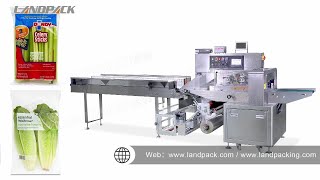Automatic Horizontal Vegetable Fruit Flow Wrap Packing Machine With Labeling Machine