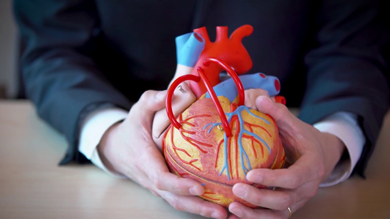 Mechanical vs. biologic heart valve replacements YouTube