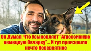 :  ,   "  "     