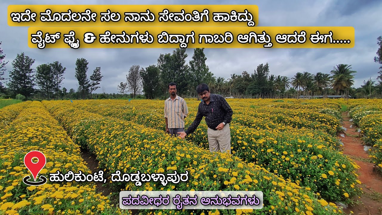 Crops for optimum consumption through integrated nutrient management Hulikunte Doddaballapur  Success story