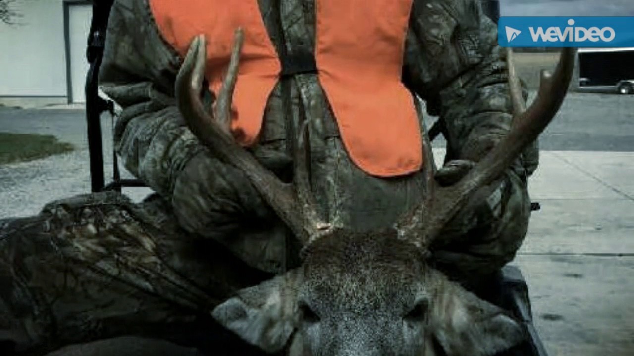 Trapping Season 20162017 second week out on the line YouTube