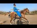 Best horse reval chal  horse jamku 