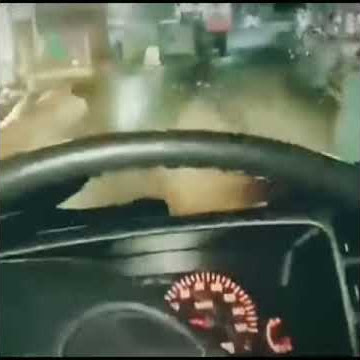 Hanya seorang seniman