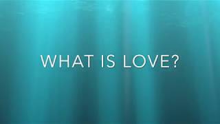 Otuck William -  What is Love? (Lyric Video)