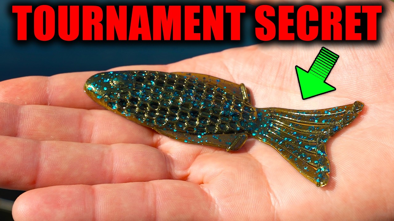 I SPENT a Year Building This Fishing Line… Was It WORTH It?