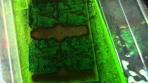 Etching a PCB
