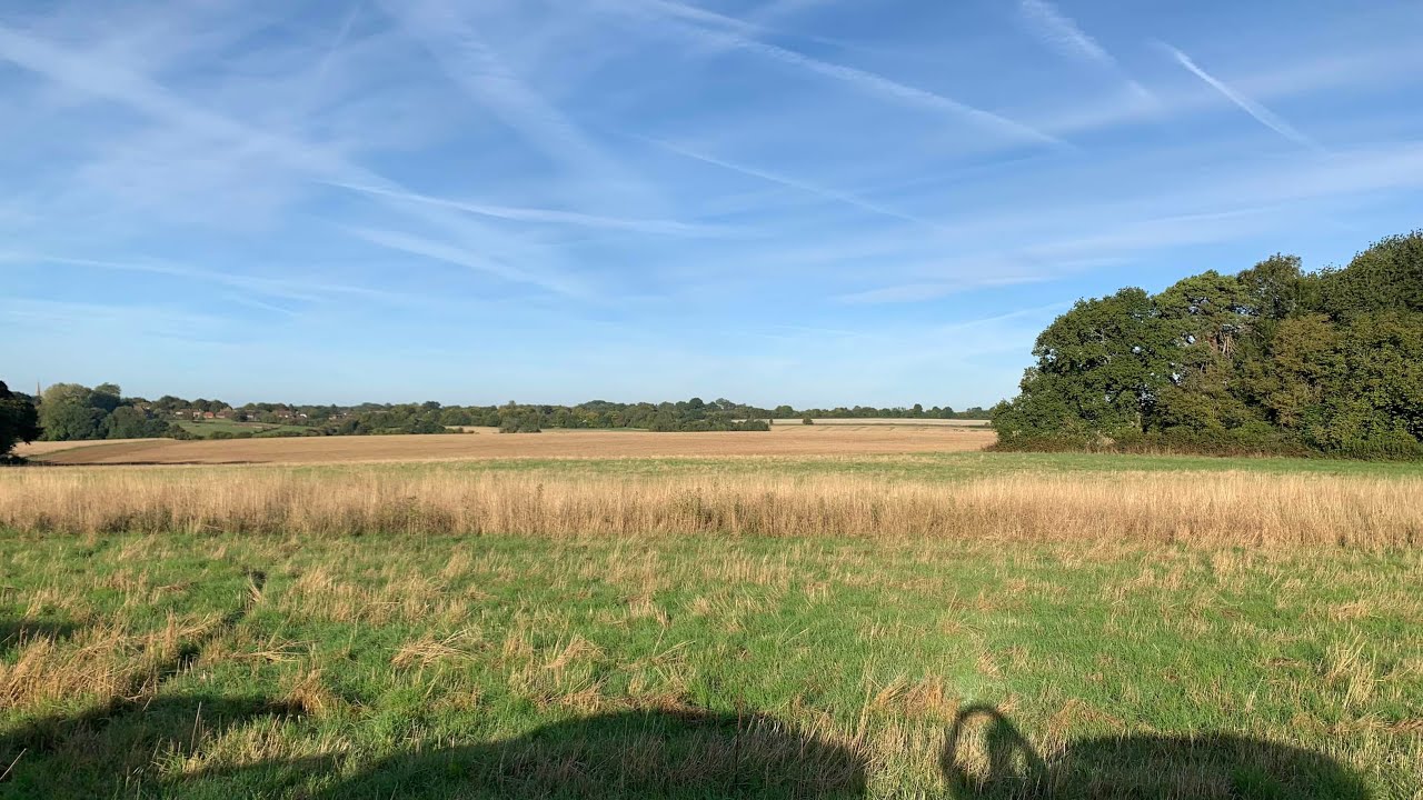 Soilsearchers dig Newbury new farm new hopes metal detecting with my