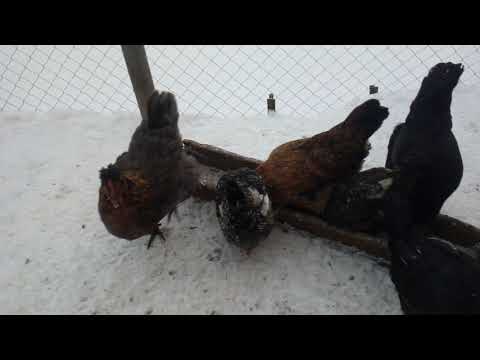 Было - 11 градуса , а сейчас + 3 градуса