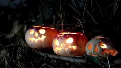 The Unknown - Down The Hill [OFFICIAL VIDEO]