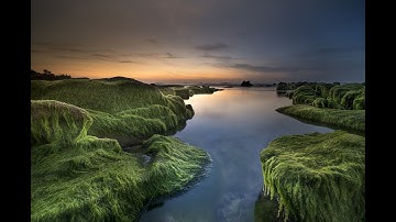 The Koran is a beautiful voice تلاوة رائعة تهتز لها القلوب القارئ حمزة مدبوح