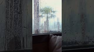 Rain Sounds ASMR - Heavy Rain on Window ​#RainSounds ​#NatureSounds ​#DeepSleep ​#RainASMR