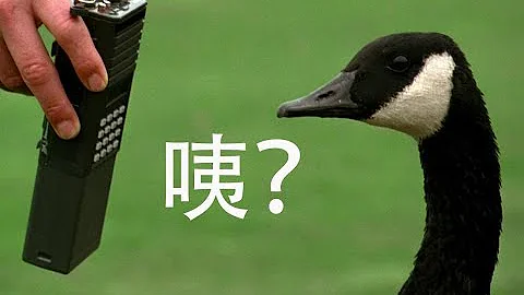 【越哥】豆瓣8.9分，光看題材就想打滿分，願意拍這類電影的「傻子」不多了！速看《伴你高飛》 - 天天要聞
