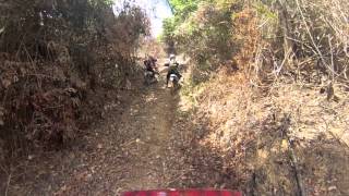 Team JS Trailer