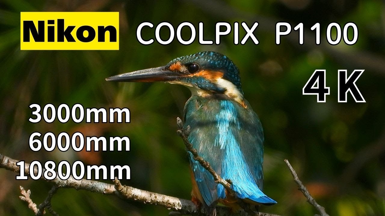 Nikon COOLPIX P1100   3000mm・6000mm・10800mm