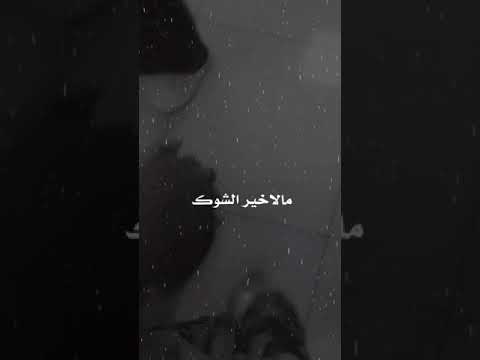 اغنيه شوك حصريا حالات واتساب