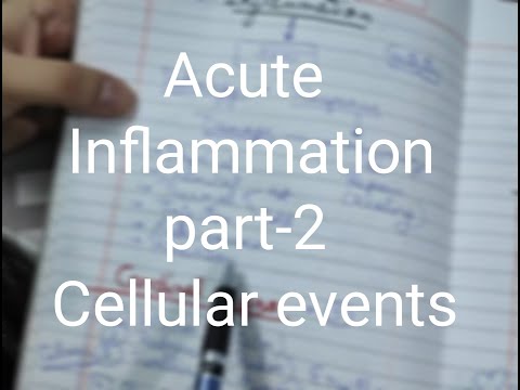 General pathology lecture-8(hindi) _ Acute inflammation(part-2) cellular events