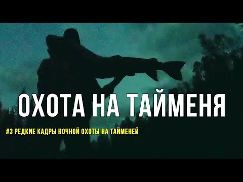 Ночная ОХОТА НА ТАЙМЕНЯ! Реальное видео рыбалки и редкие кадры атаки тайменя на мыша!