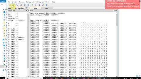 Instalando o QTSPIM para Windows