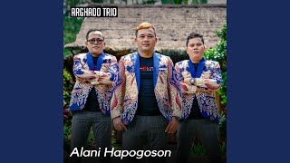 Alani Hapogoson