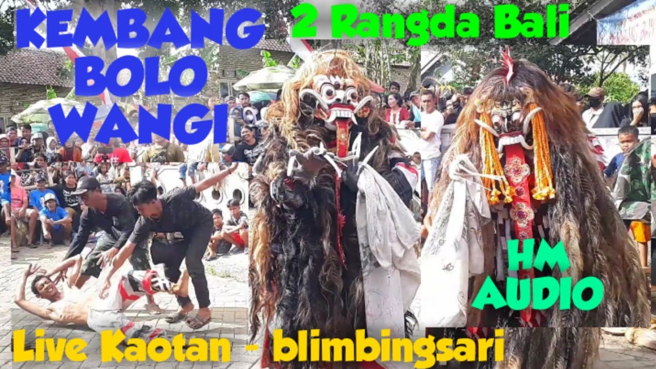 RANGDA BALI || KEMBANG BOLO WANGI LIVE KAOTAN - BLIMBINGSARI - BANYUWANGI || BERSAMA HM AUDIO
