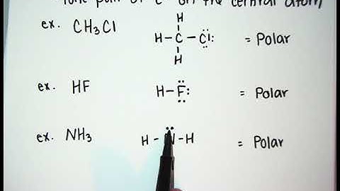 BI4.S4 Overall Polarity Video Notes