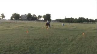 Ruby 2.wmv