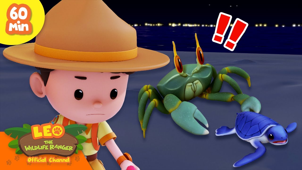 š Sturdy Shell Animals! š¦ Turtles, Crabs & more! š¦ | Leo the Wildlife ...