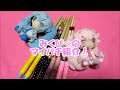 みくぴ~のマイバチ紹介!