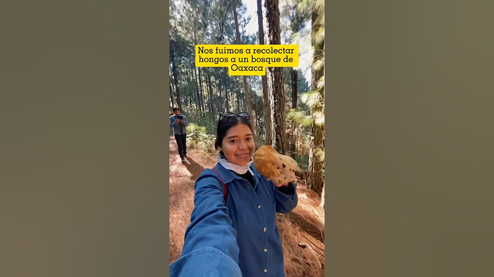 Así es recolectar hongos en un bosque de Oaxaca 🤩🍄  #travel #visitaoaxaca