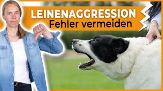 Leinenaggression beim Hund I Diese 5 Fehler vermeiden by DOGsTV - Online Hundetraining 57,744 views 1 year ago 8 minutes, 10 seconds