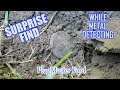 SURPRISE FIND for TREASURE Hunter | Metal Detecting the Unexpected | PlugMaster Ford