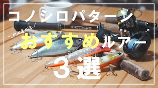 【初心者必見】スピニングで使える！明日からコノシロパターンで使えるおすすめシーバスルアー3選！！【ビッグベイト】