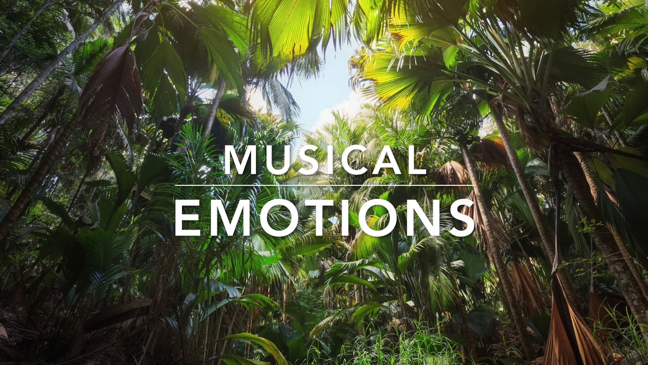 Lo Fi Hip Hop Spa and Sauna Music for Relaxing