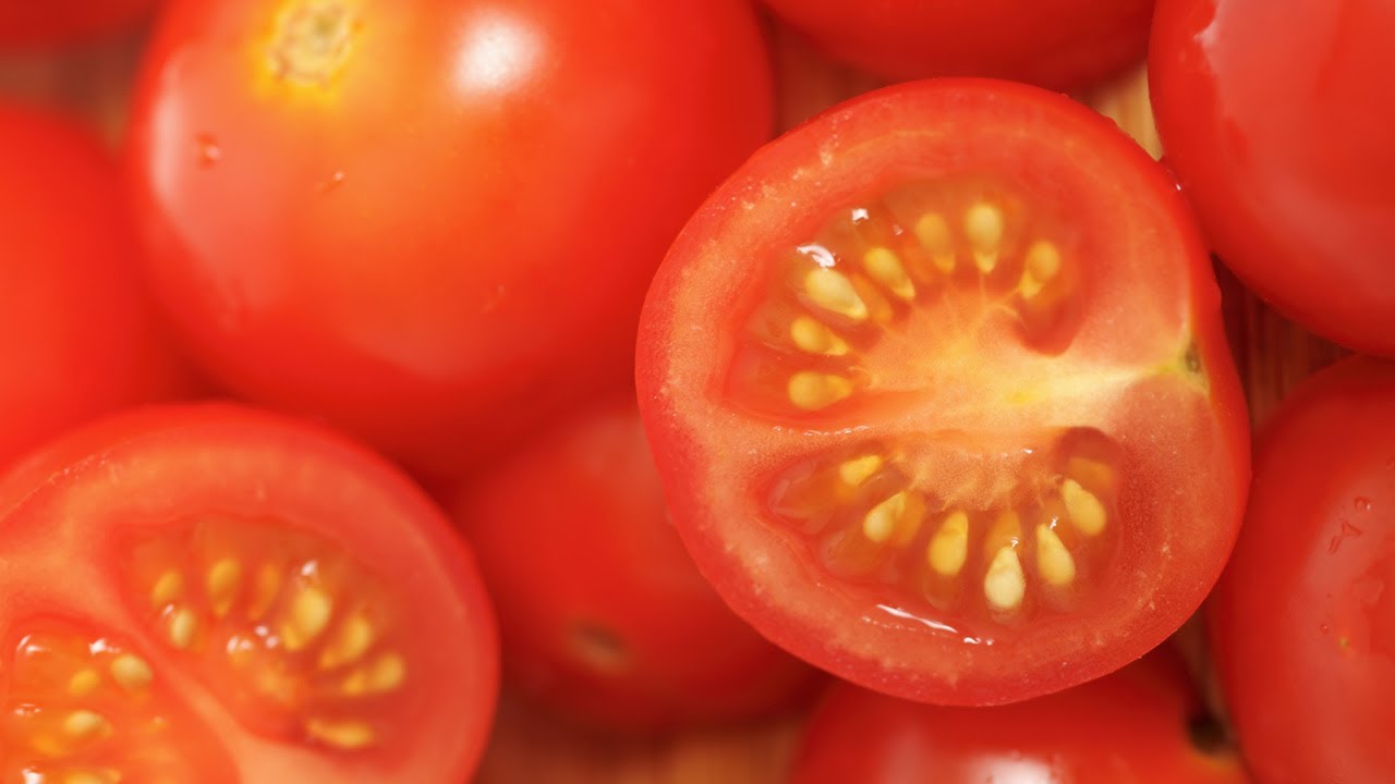 Cómo conseguir semillas de tomate - Bricomanía - Jardinatis
